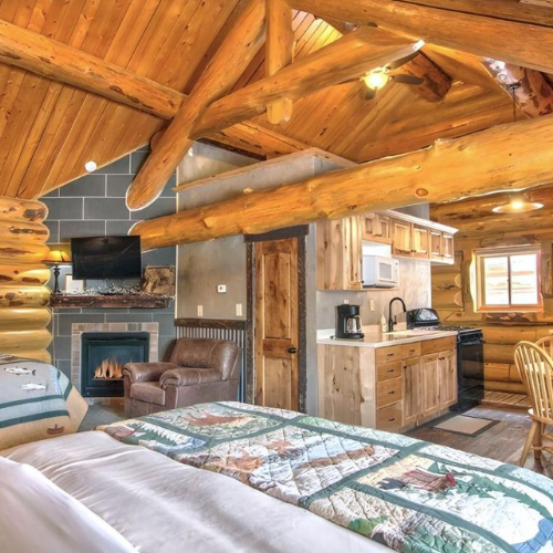 Hibernation Station photo 3 in West Yellowstone, MT